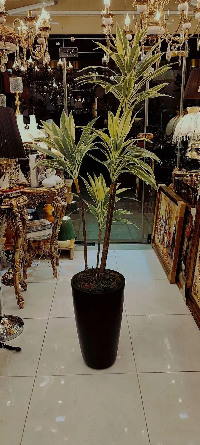 درختچه وارداتی ارتفاع ۱۹۰|گل مصنوعی|تبریز, |دیوار