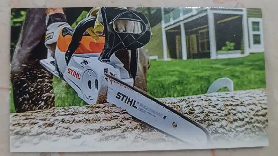 پاکسازی فضای سبز و برش درخت|خدمات باغبانی و درختکاری|رشت, یخسازی|دیوار