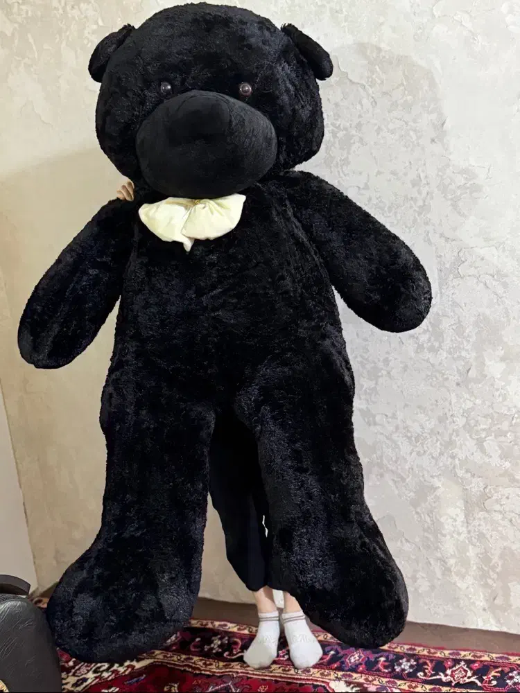 عروسک خرسی|اسباب‌‌بازی|تبریز, |دیوار