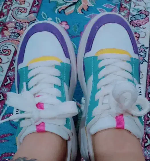 بوت بلند و کفش|کیف، کفش، کمربند|قشم, |دیوار