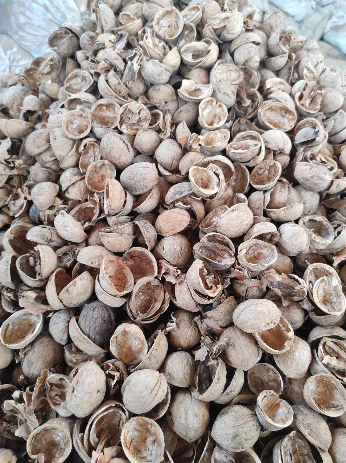 پوست گردو|خوردنی و آشامیدنی|بوشهر, |دیوار
