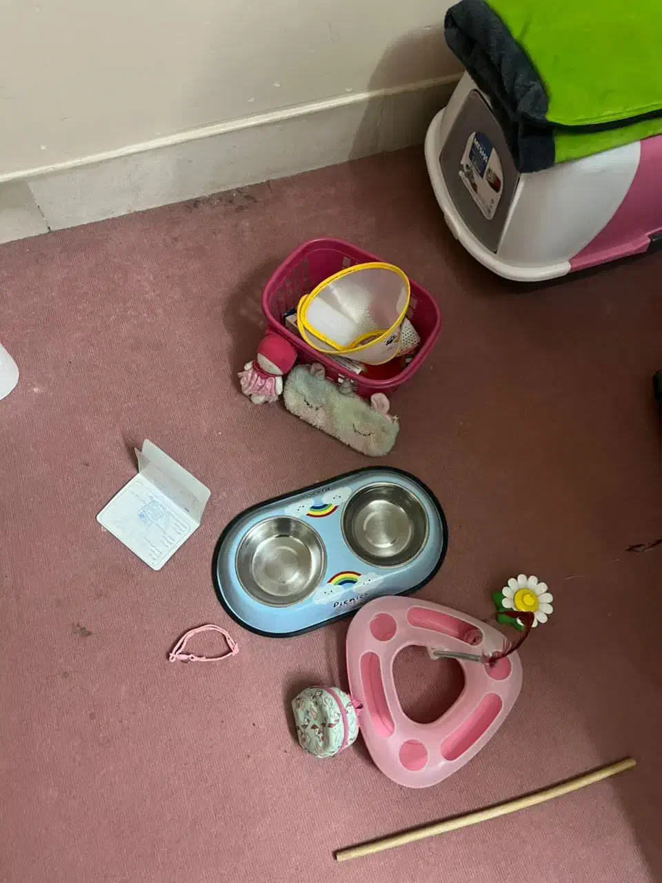 گربه گمشده|حیوانات|اصفهان, بهارستان|دیوار