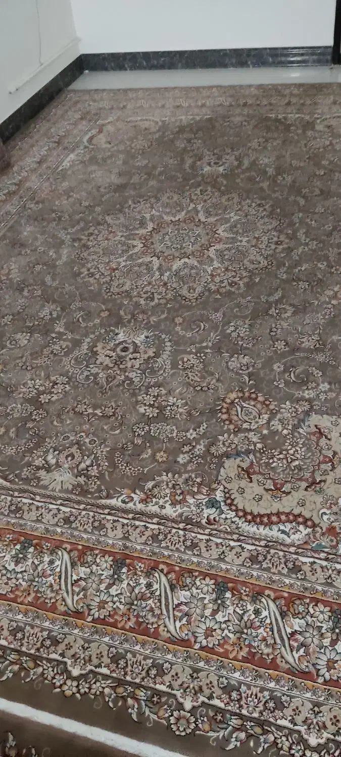 فروشی فرش|فرش|اسفراین, |دیوار