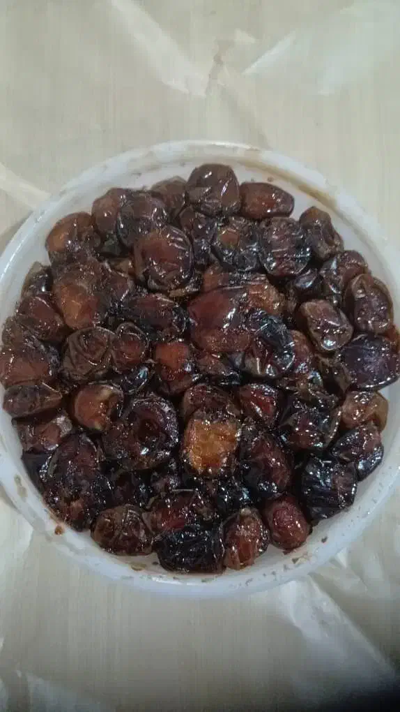 شادگان|حراج|شادگان, |دیوار
