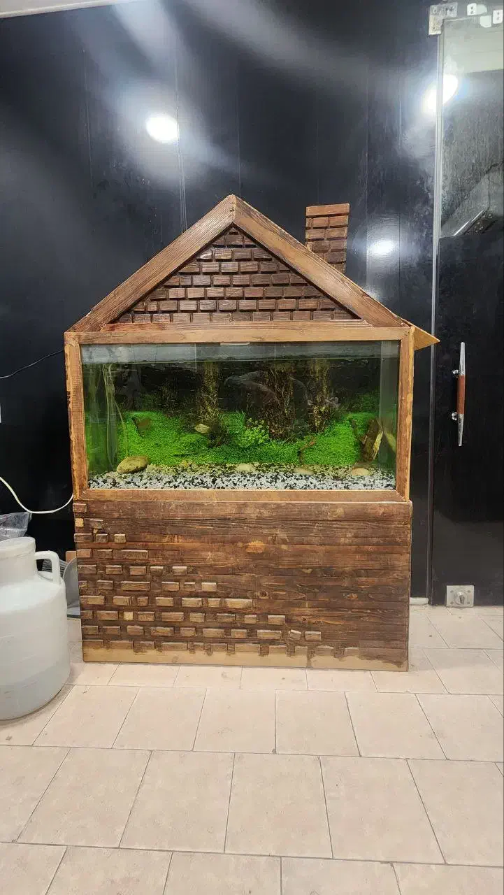 اکواریوم با لوازم|ماهی|کاشان, فاز ۱ ناجی آباد|دیوار