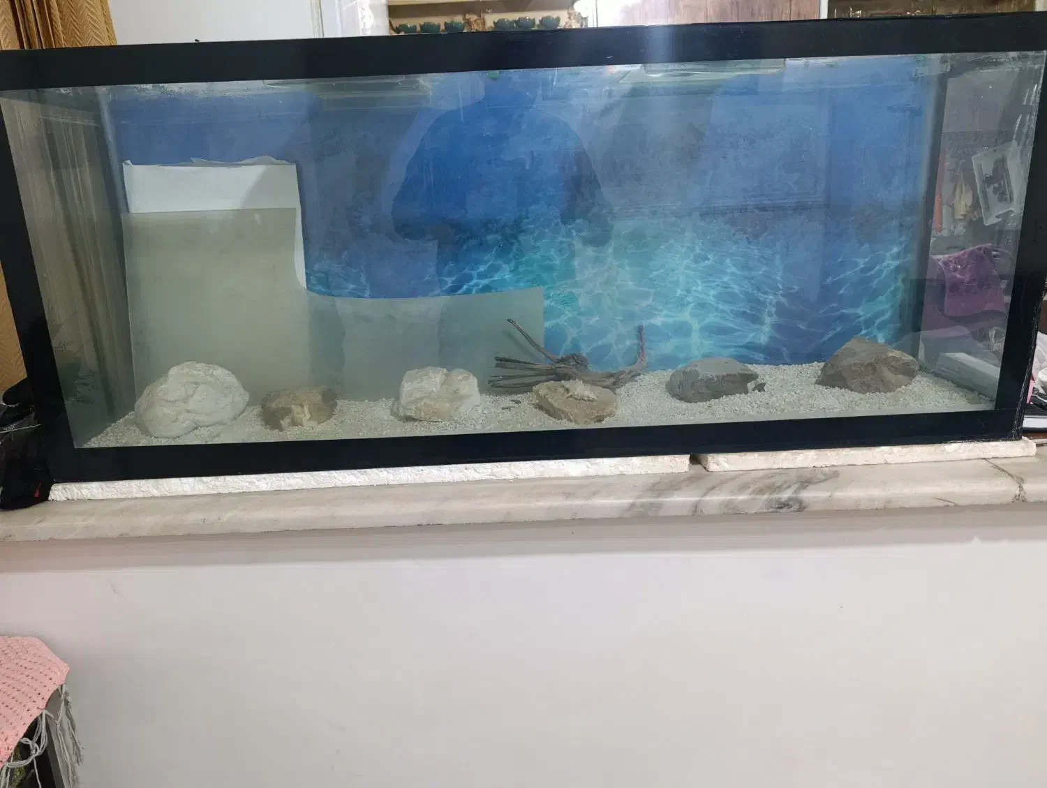 آکواریوم و تصفیه سقفی|ماهی|قوچان, |دیوار