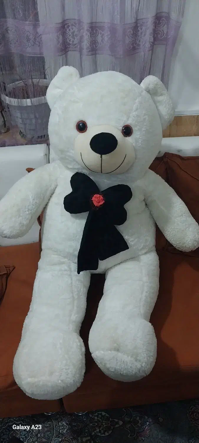 خرس بزرگ|اسباببازی بچه|بروجرد, |دیوار