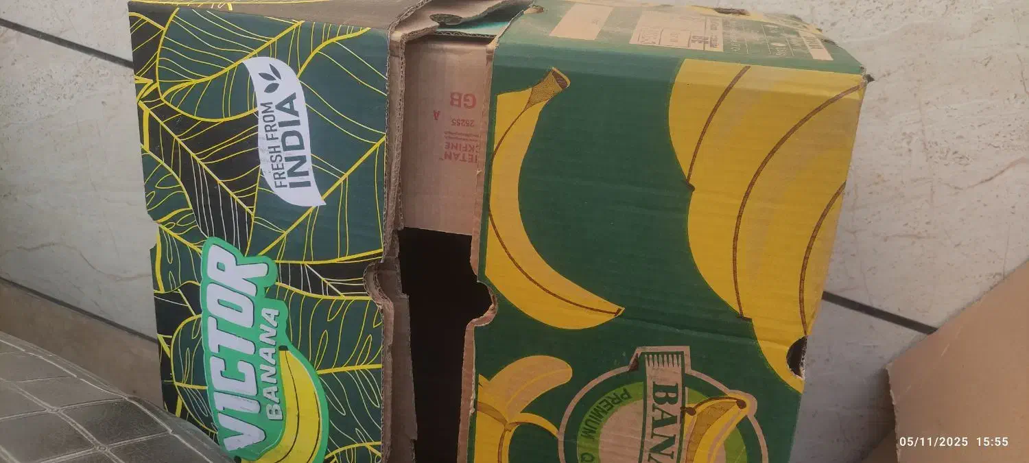 کارتن موزی محکم|ابزارآلات|سبزوار, طبرسی (جعفرآباد)|دیوار