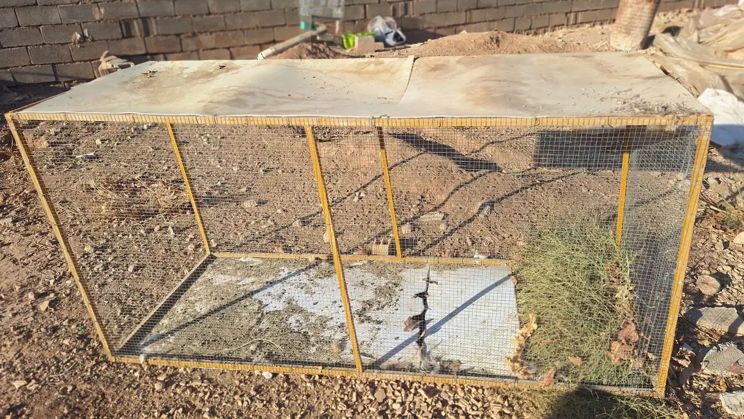 قفس پرنده|لوازم جانبی حیوانات|شیراز, قلات|دیوار