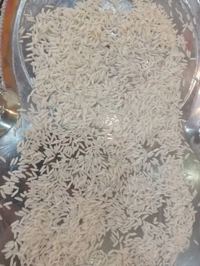 برنج درجه یک شیرودی طارم فجر|عمده‌فروشی|بابلسر, |دیوار