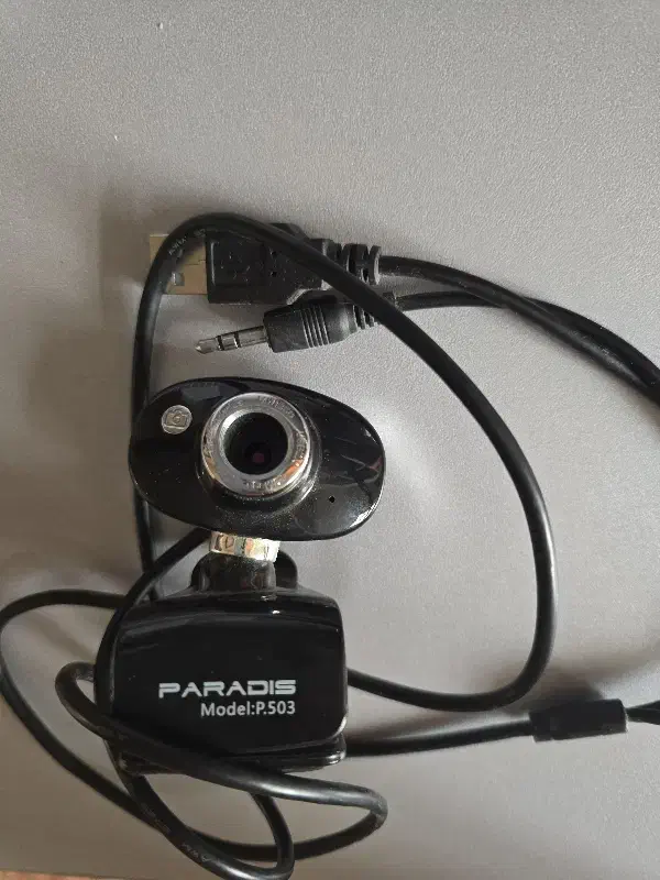 وبکم میکروفون دار|قطعات و لوازم جانبی رایانه|تبریز, |دیوار