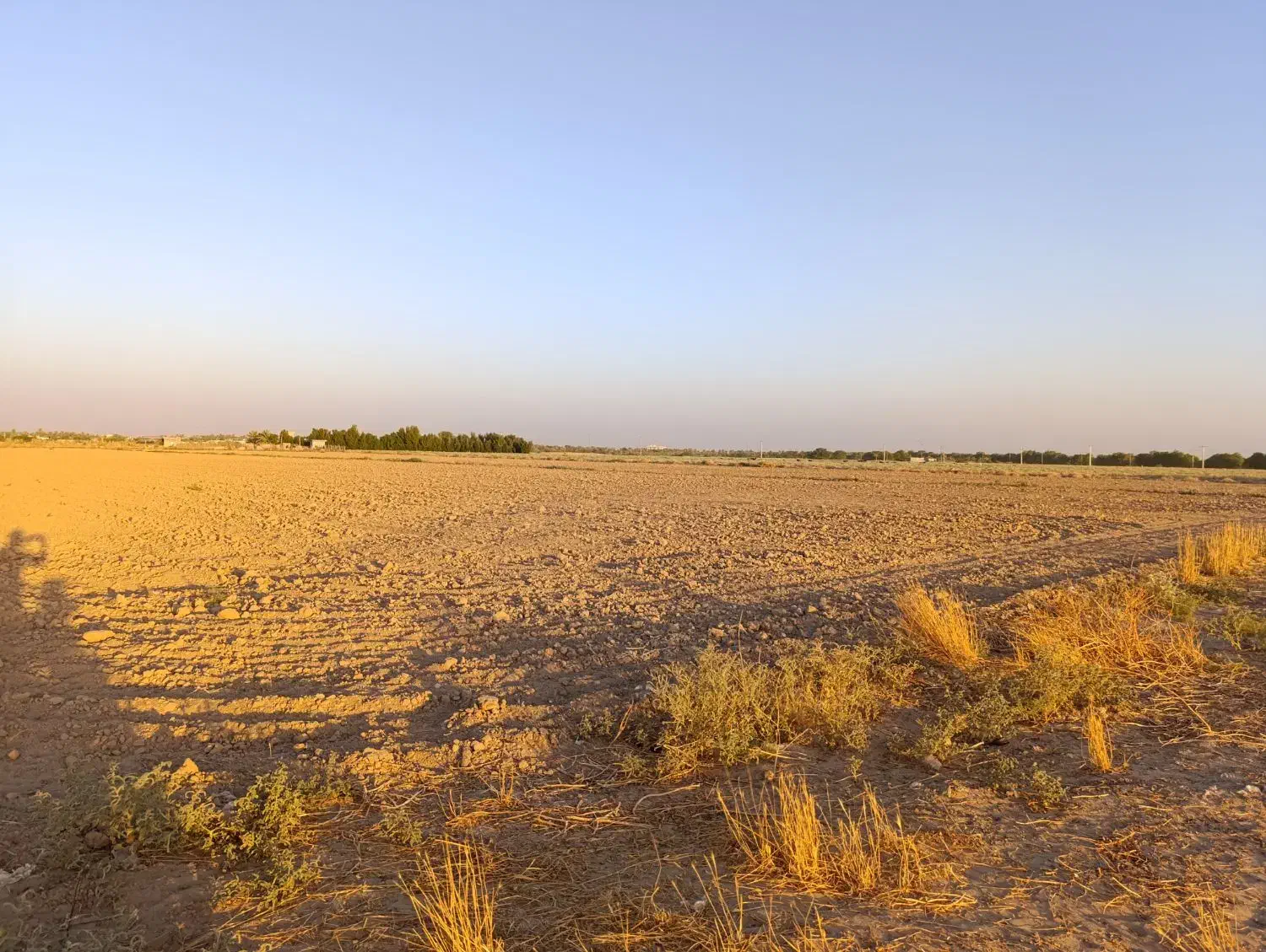 فروش زمین کشاورزی و باغچه در بویری شبانکاره|فروش دفتر صنعتی، کشاورزی، تجاری|شبانکاره, |دیوار