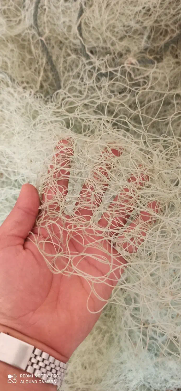 تور ابریشمی6 پان|ماهیگیری|بندر دیر, |دیوار