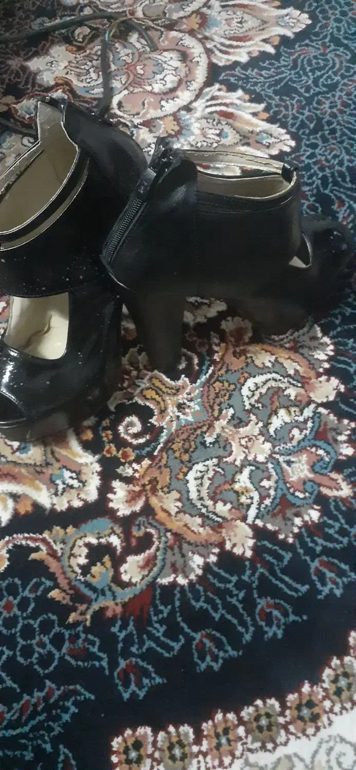 کفش مجلسی|کیف، کفش، کمربند|بیرجند, |دیوار