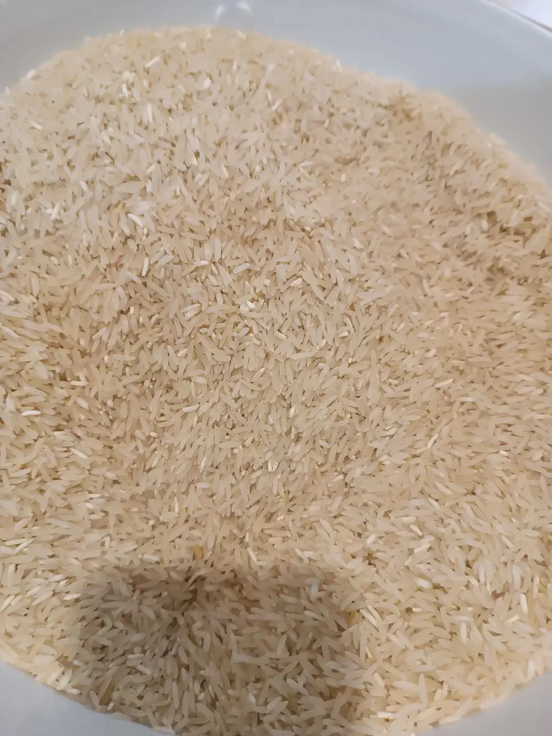 برنج فجر سوزنی|خوردنی و آشامیدنی|گرگان, |دیوار