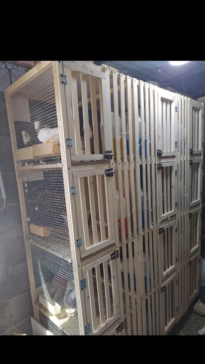 جفت کن دوازده تایی|لوازم جانبی حیوانات|شهر بابک, |دیوار