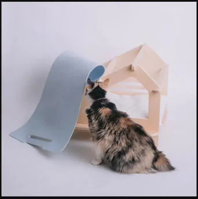 خانه پت گربه|لوازم جانبی حیوانات|مشهد, مشکینی (شهرک غرب)|دیوار