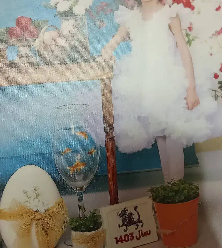 لباس عروس بچه گانه|کفش و لباس بچه|شیراز, شیخ روزبهان|دیوار