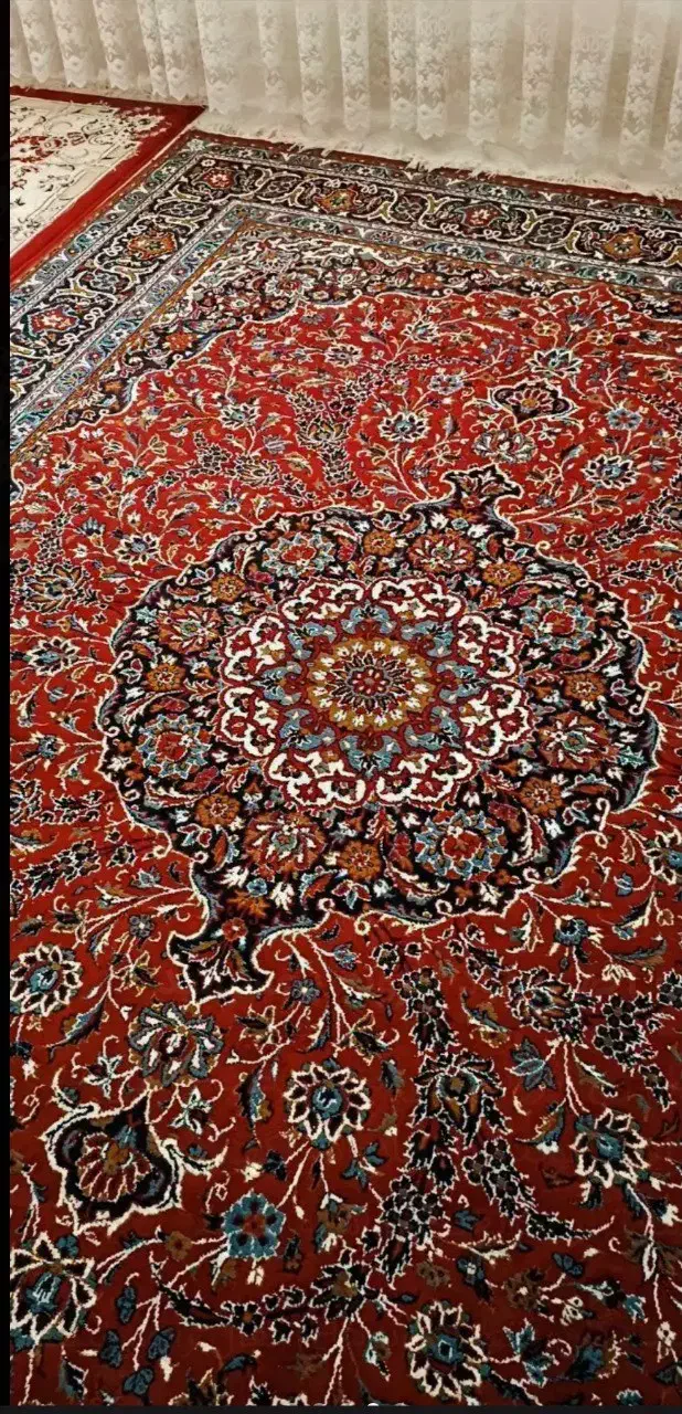 قالی ومبل|فرش|شیروان (خراسان), |دیوار