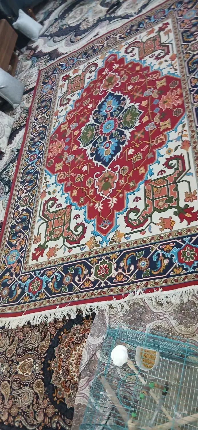 گلیم فرش ۶متری|گلیم، جاجیم، گبه|محمدیه-قزوین, |دیوار