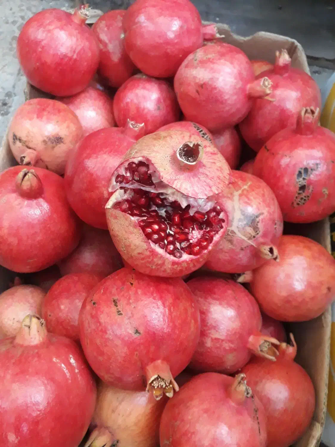 انار قرمز شیرین صادراتی|خوردنی و آشامیدنی|قم, سرحوض|دیوار