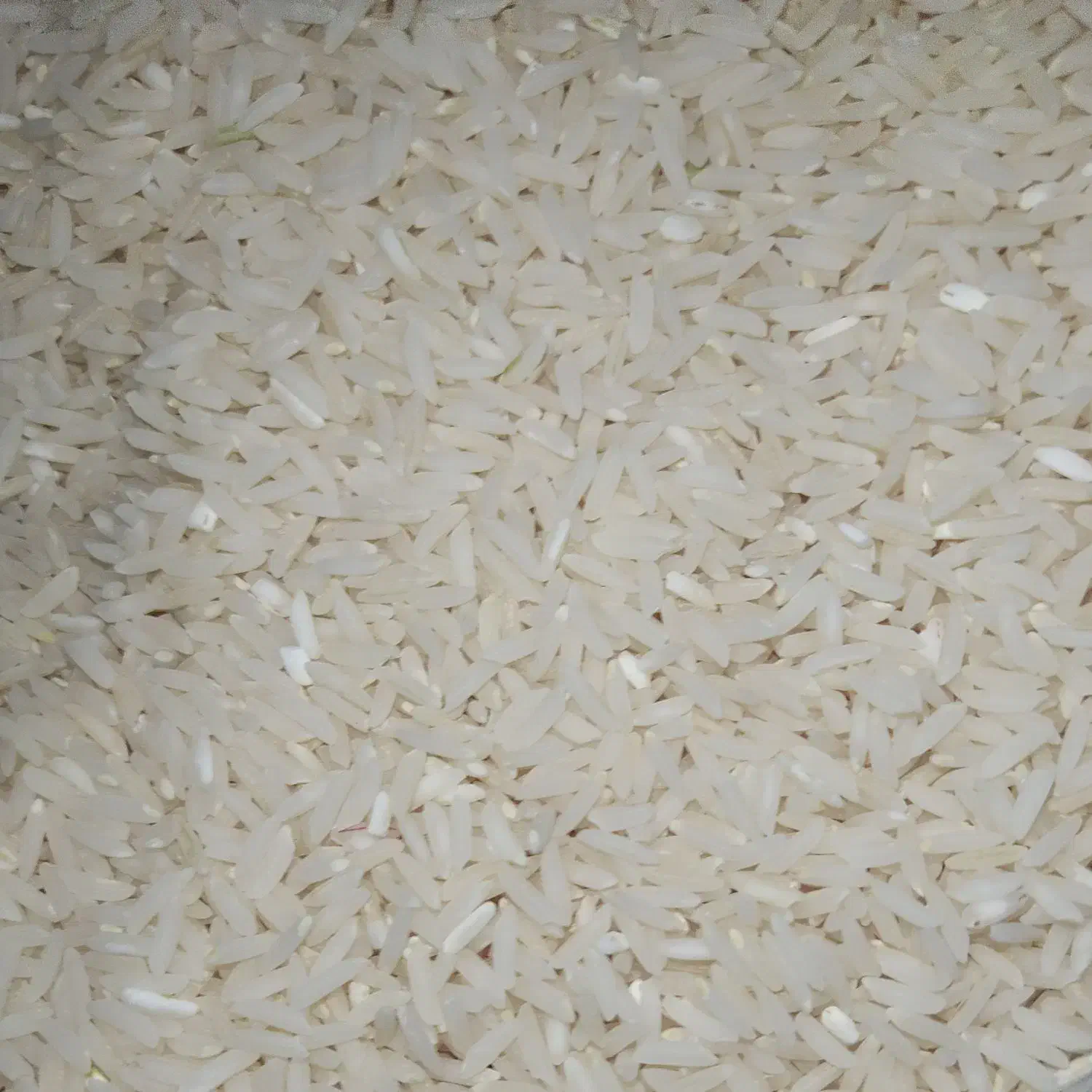 برنج طارم هاشمی دنوج|خوردنی و آشامیدنی|قائمشهر, |دیوار