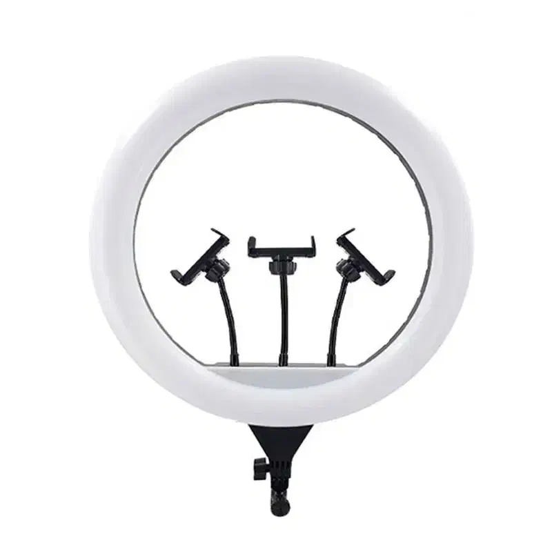 رینگ لایت حرفهای JL-F388 + سهپایه محکم|لوازم جانبی موبایل و تبلت|تربتحیدریه, آغوی|دیوار