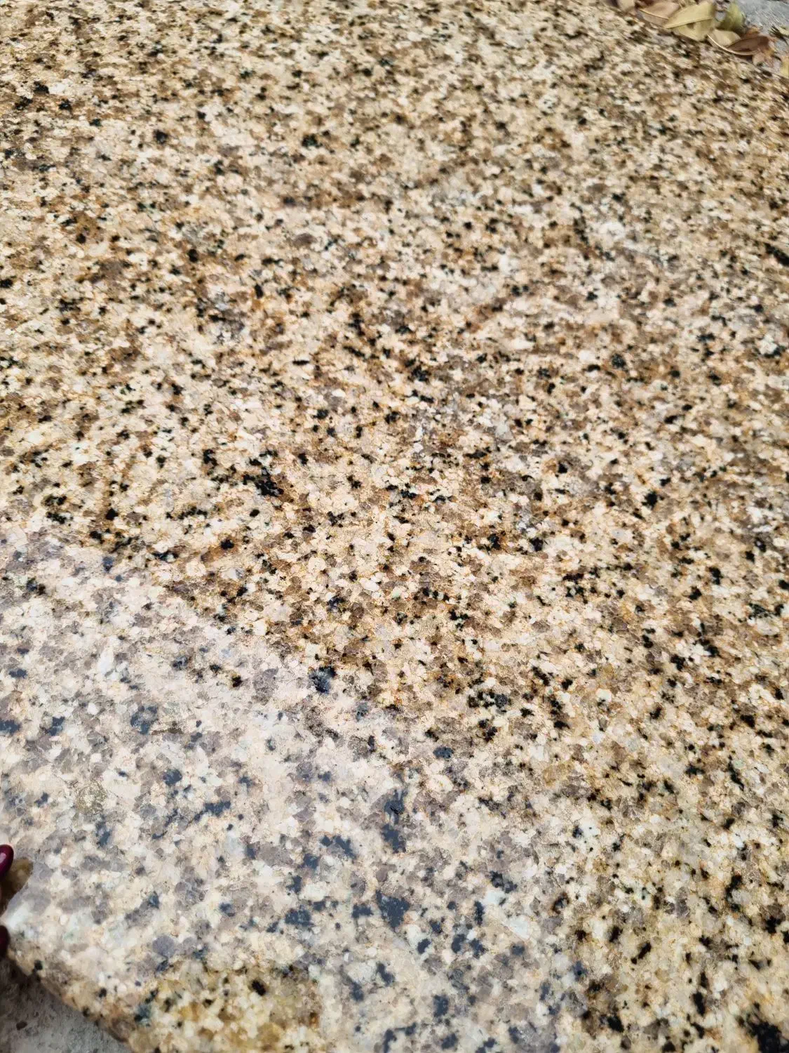 سنگ اپن|مصالح و تجهیزات ساختمان|سملقان, |دیوار