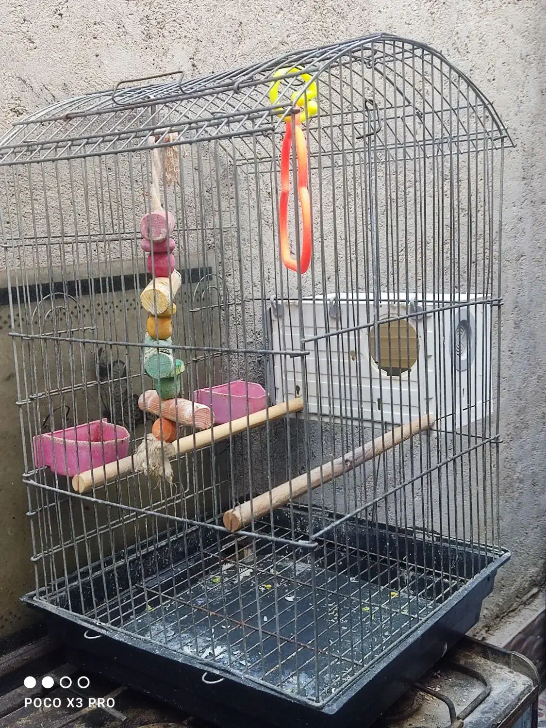 قفس|لوازم جانبی حیوانات|شادگان, |دیوار