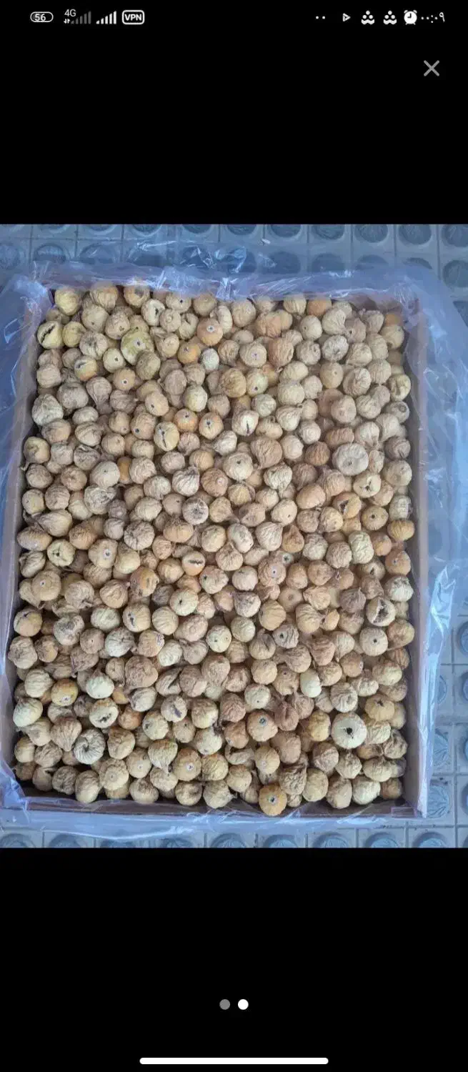 انجیر خشک و انجیر نرم  زرد و بی دانه کیلو 300و 250|حراج|تربت‌حیدریه, شهرک ولیعصر|دیوار