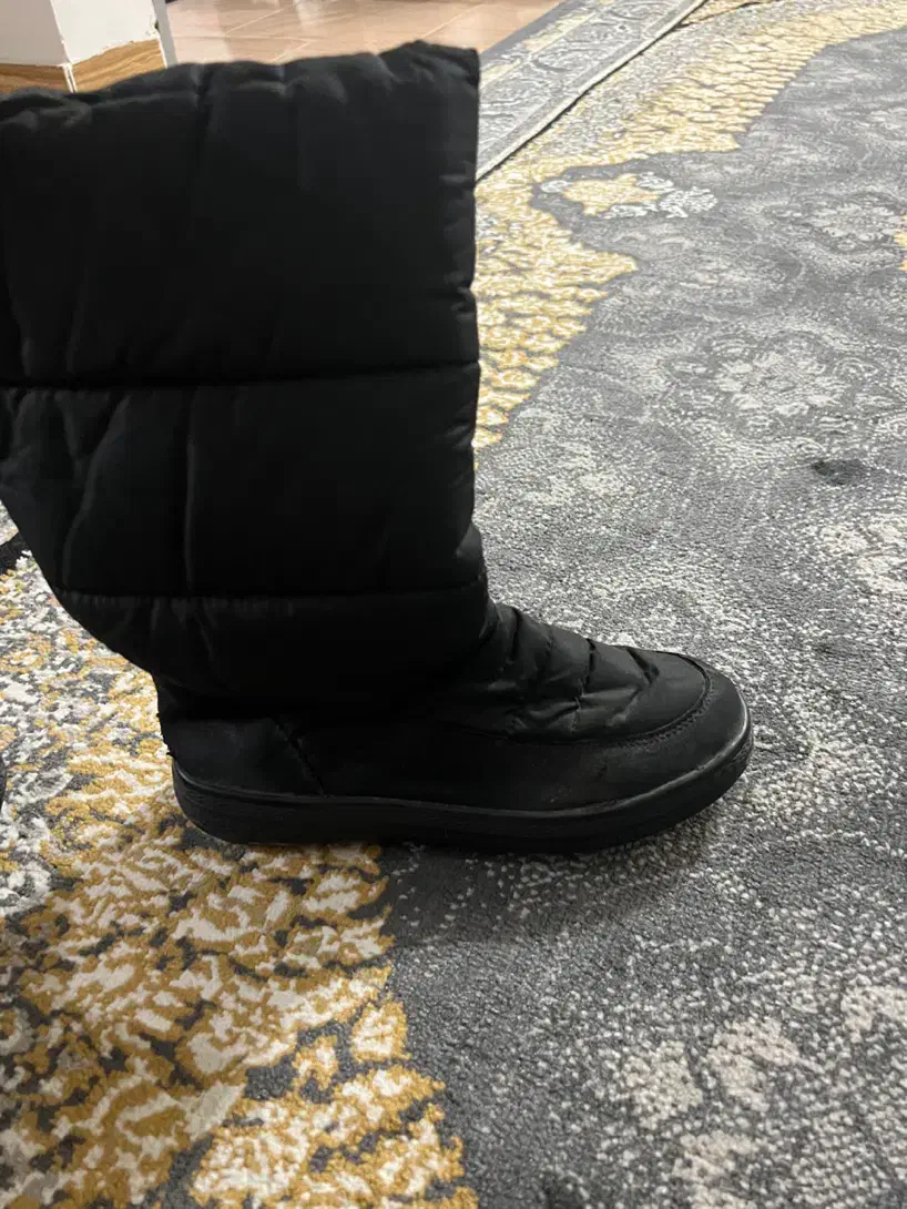 بوت|کیف، کفش، کمربند|لاهیجان, طالقانی|دیوار