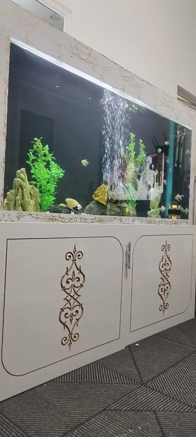 اکواریوم بزرگ|ماهی|سبزوار, امام خمینی (ناوی)|دیوار