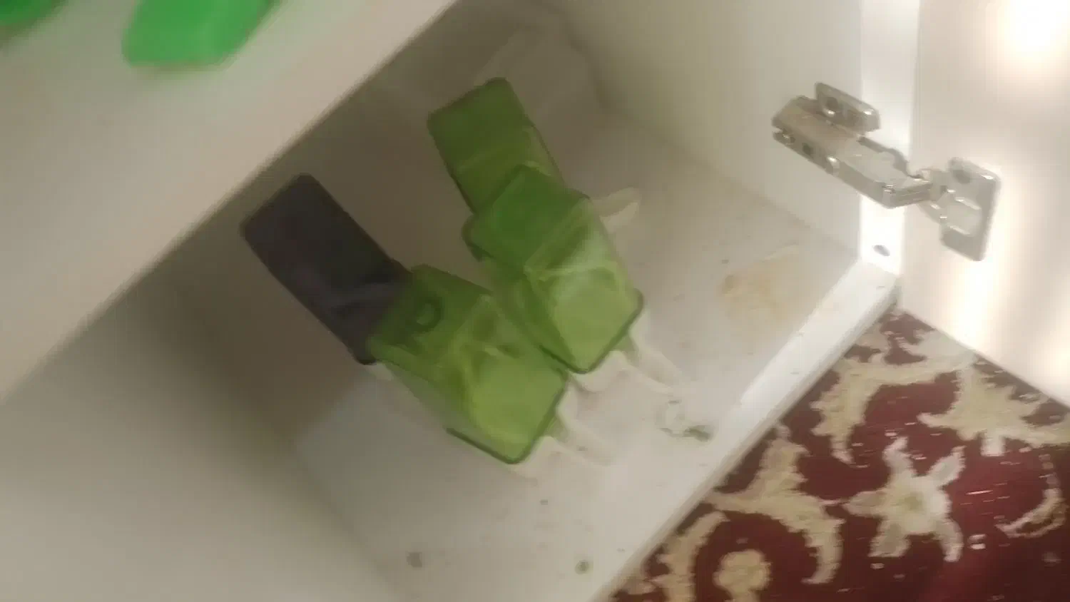 انواع خوراک تاب نردبانابخوری دونخوری پرندگان موجود|لوازم جانبی حیوانات|سیستان, |دیوار