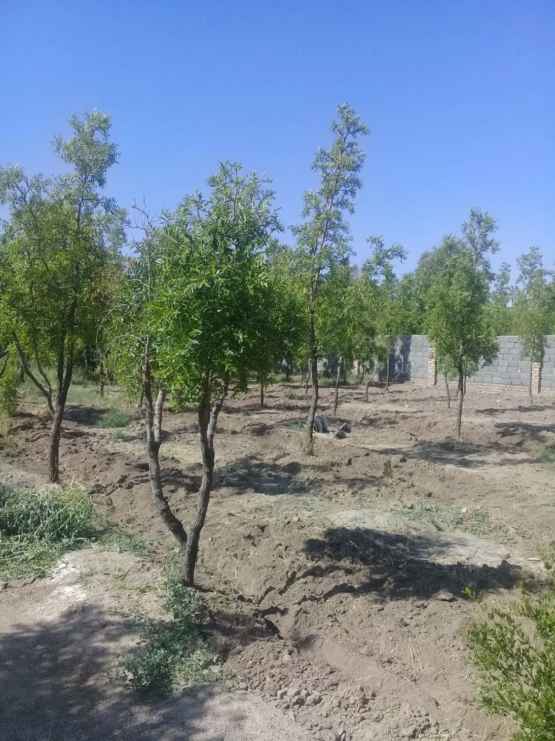 تصویر 3