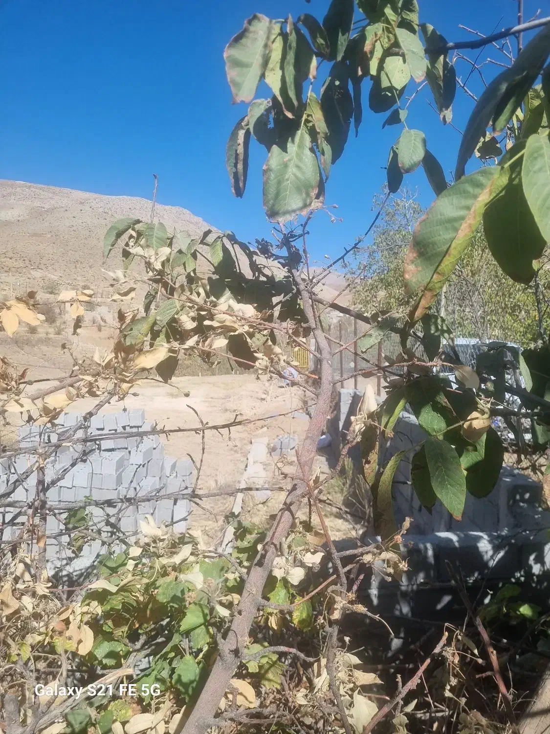 پردیس زمین ویلایی سند دار|فروش زمین و ملک کلنگی|پردیس, واصفجان|دیوار