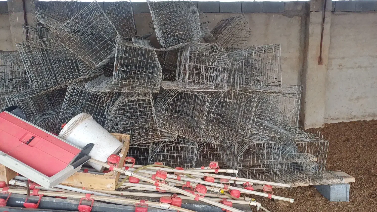 قفس منبری|لوازم جانبی حیوانات|مبارکه, |دیوار