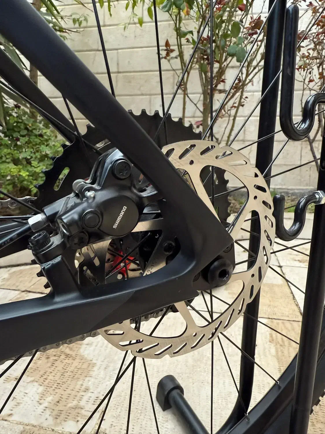 دوچرخه حرفه ای تنه کربن بنلی|دوچرخه، اسکیت، اسکوتر|تهران, گلستان (شهرک راه آهن)|دیوار