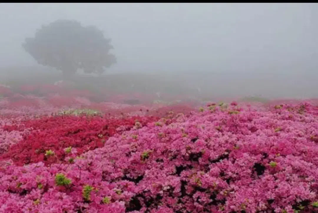 زمین کشاورزی بر جاده اصلی 5هزار مترمربع|فروش زمین و ملک کلنگی|اشترینان, |دیوار