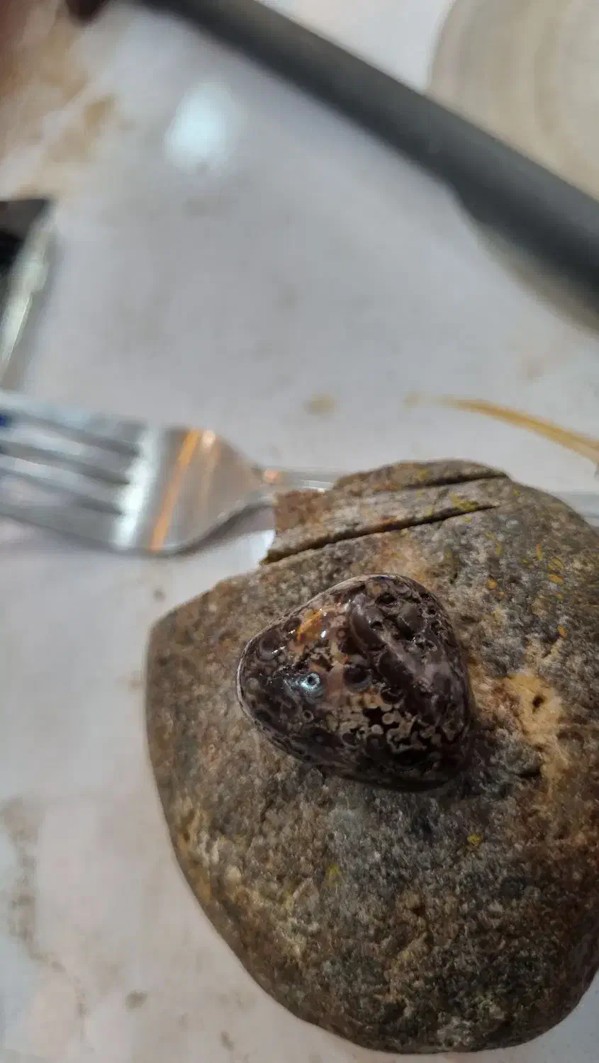 زوعه مار اصل کمیاب|جواهرات|شوش, |دیوار