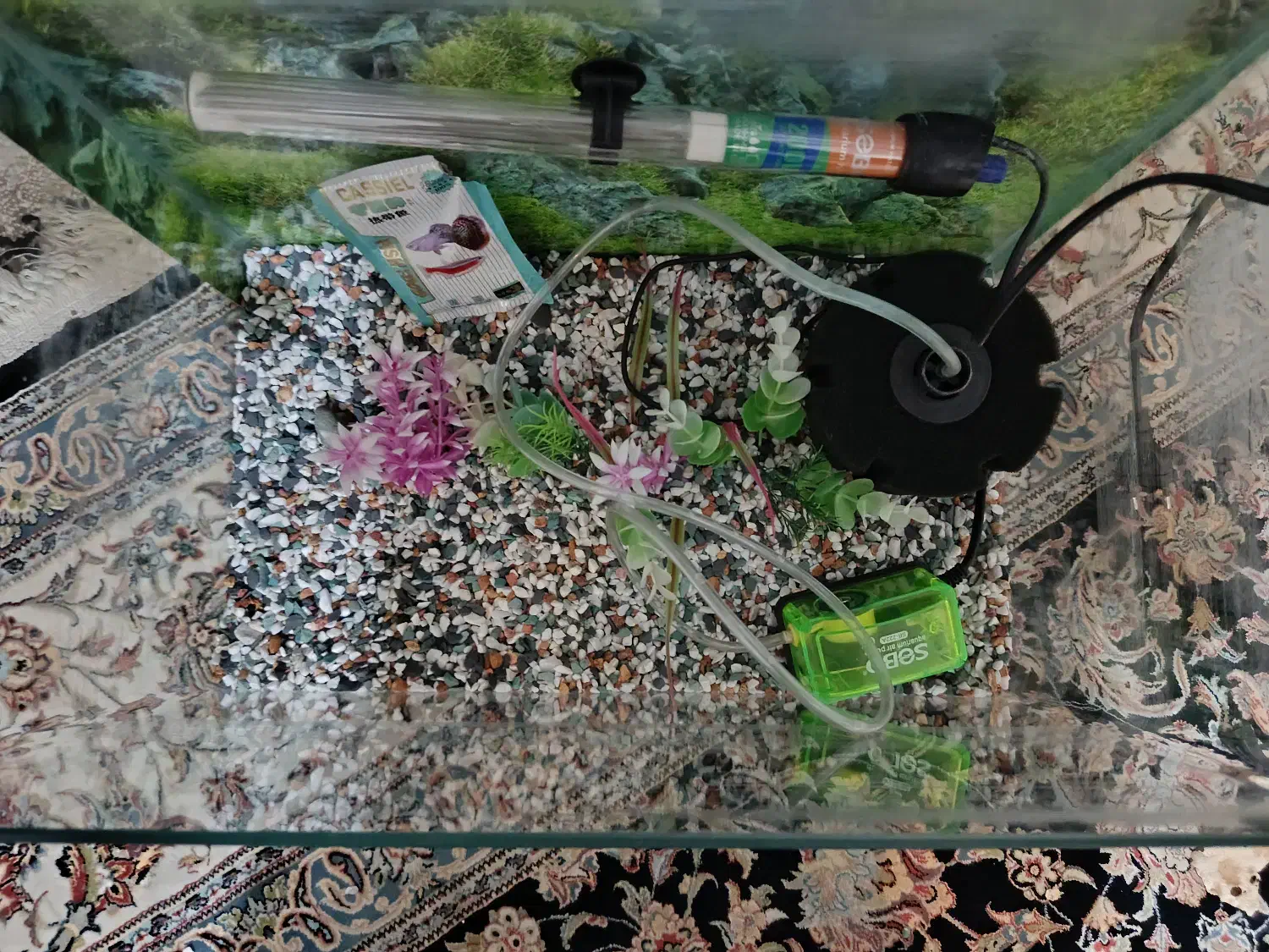 آکواریوم|ماهی|تهران, خزانه|دیوار