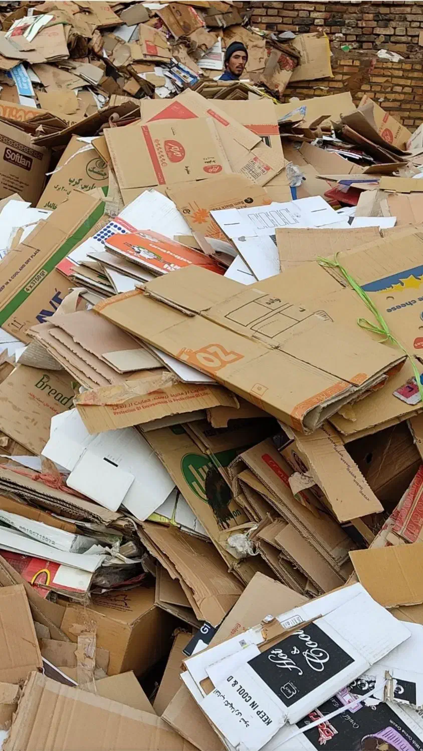 ضایعات کارتن|عمده‌فروشی|زاهدان, |دیوار