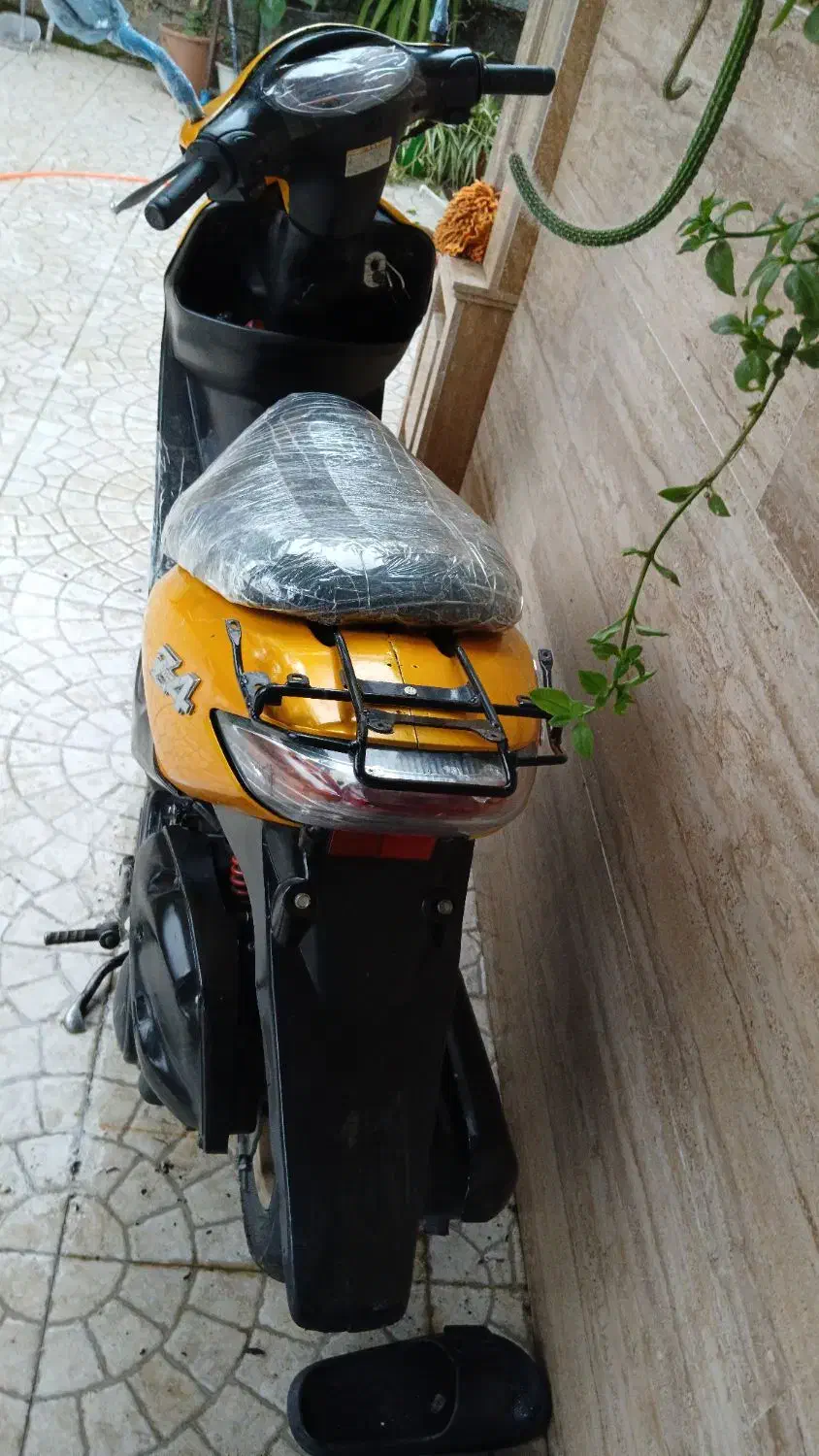 هوندا پاکشتی|موتورسیکلت|تالش, هشتپر|دیوار