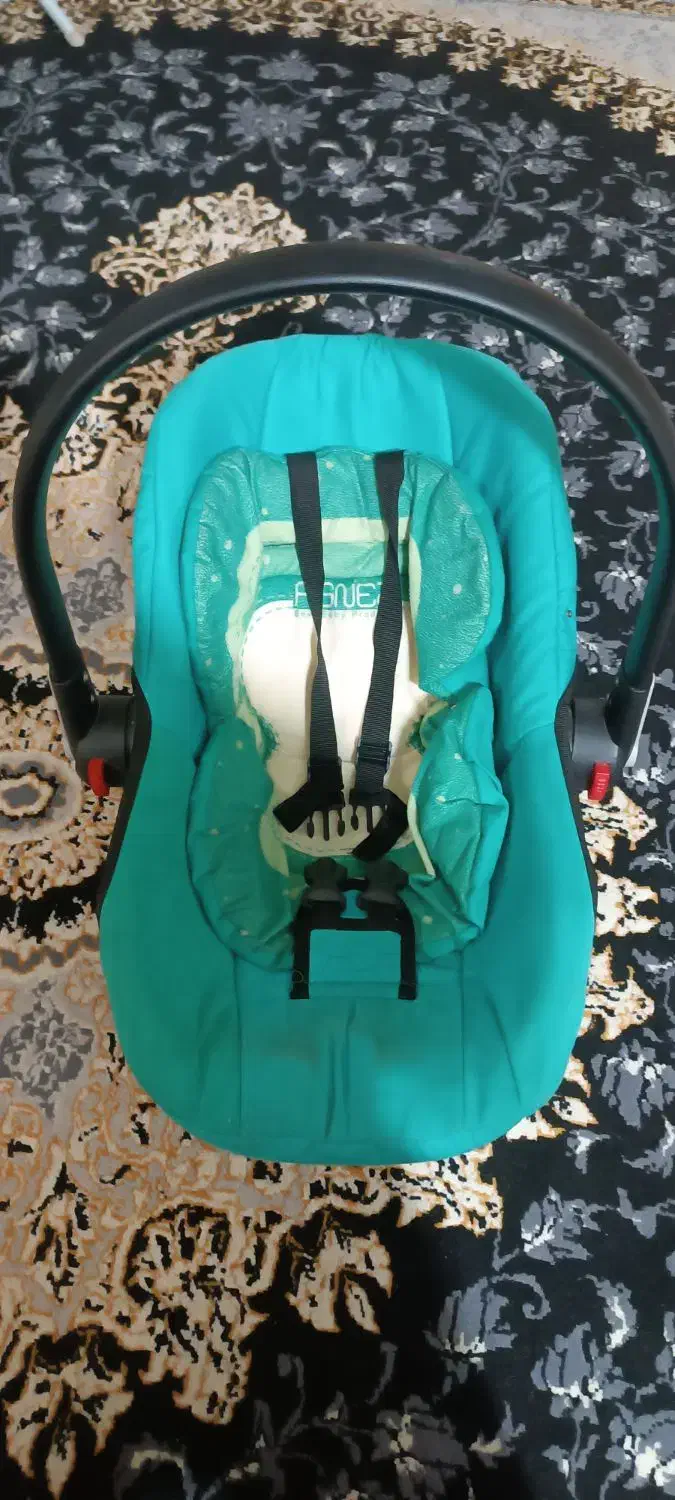 کریر گهواره|کالسکه و لوازم جانبی|شاهینشهر, گزبرخوار|دیوار