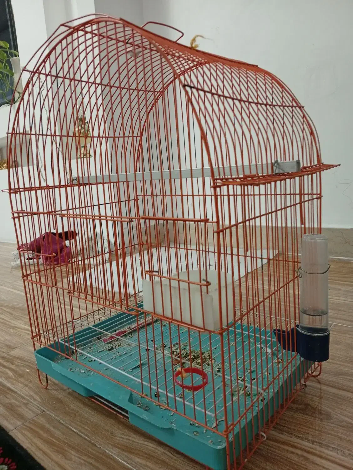 قفس|لوازم جانبی حیوانات|آستانه اشرفیه, |دیوار