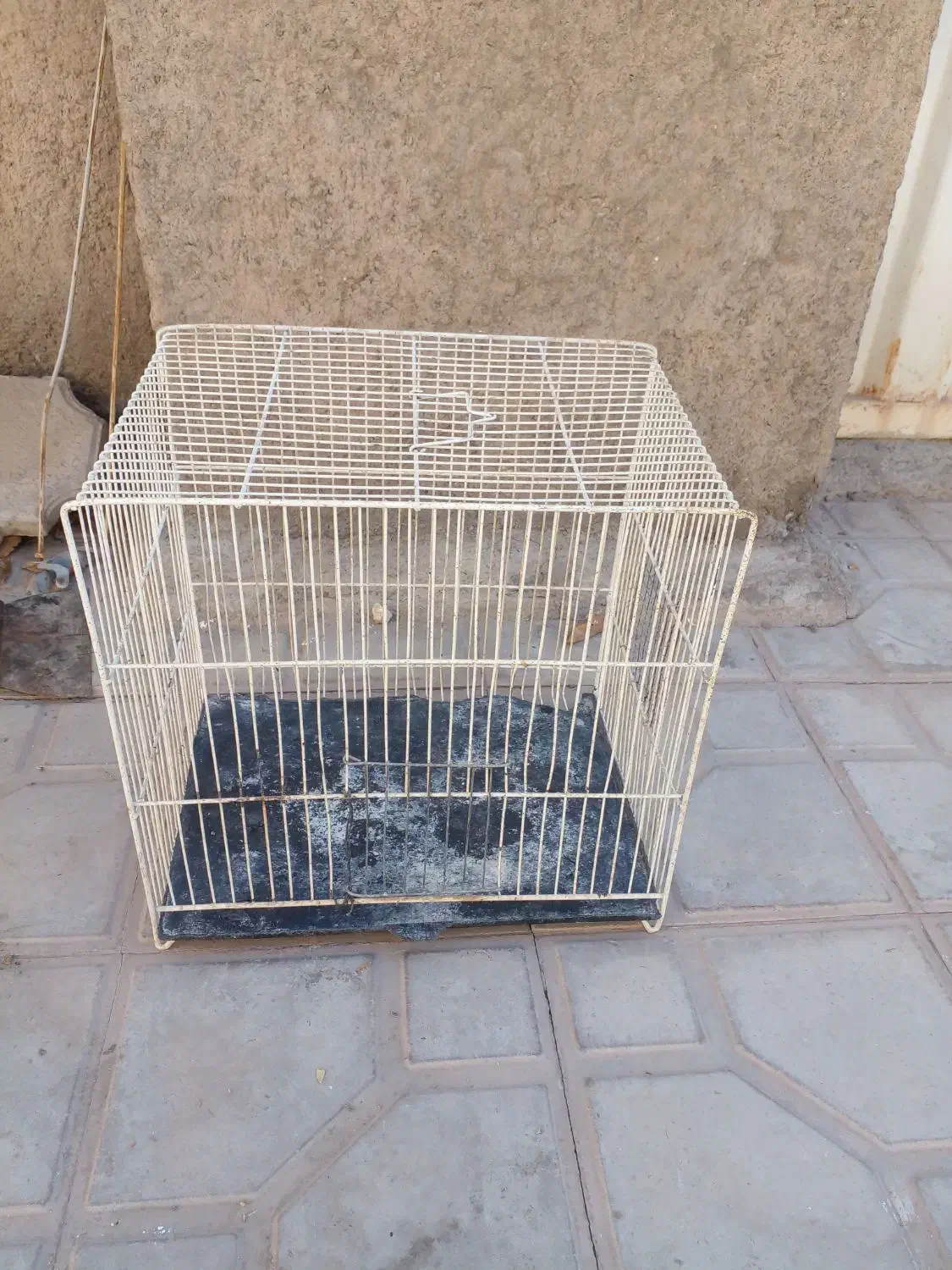 پرنده. قفس معمولی و جوجه پران|لوازم جانبی حیوانات|رفسنجان, |دیوار