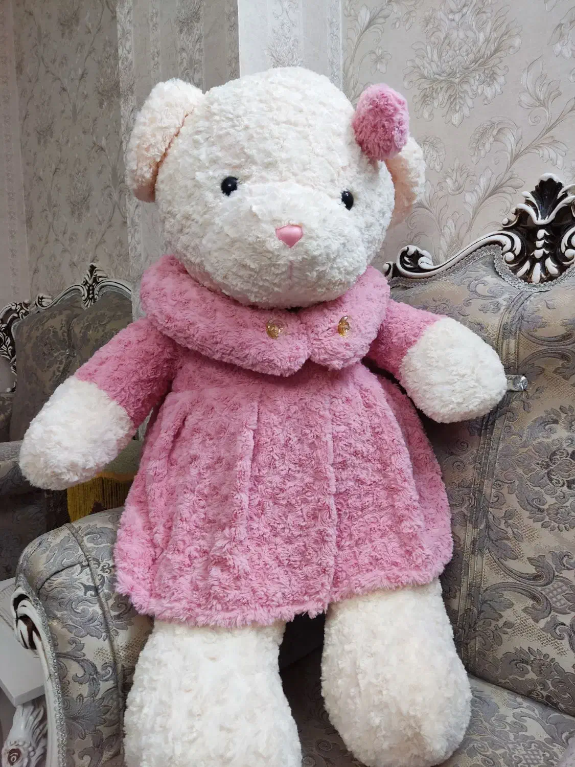 خرس شاسخین|اسباب‌بازی بچه|پاکدشت, پاکدشت (مامازند)|دیوار