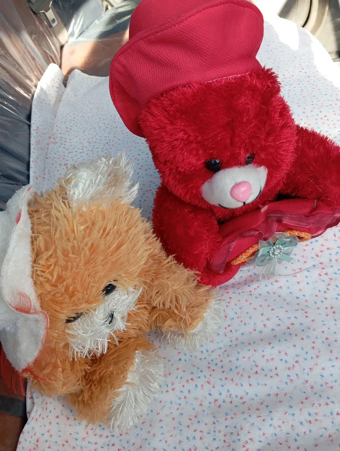 دوعدد عروسک در حد نو|اسباببازی|رشت, منظریه|دیوار