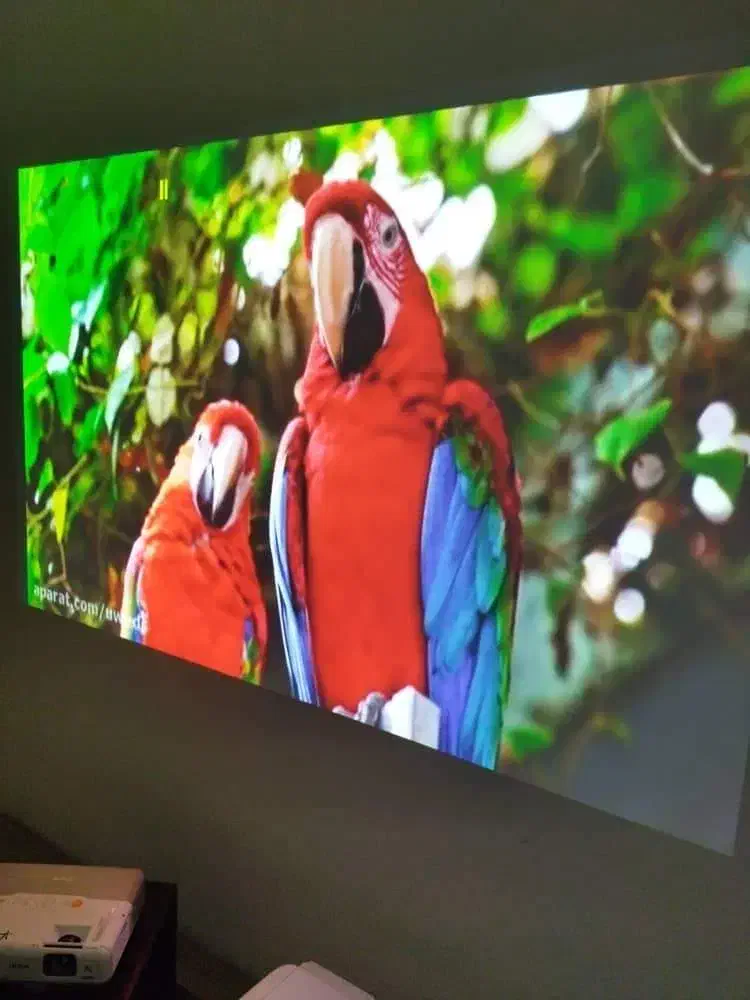 نمایندگی ویدیو پروژکتور آریا با 10 سال سابقه|تلویزیون و پروژکتور|کرج, اصفهانیها|دیوار