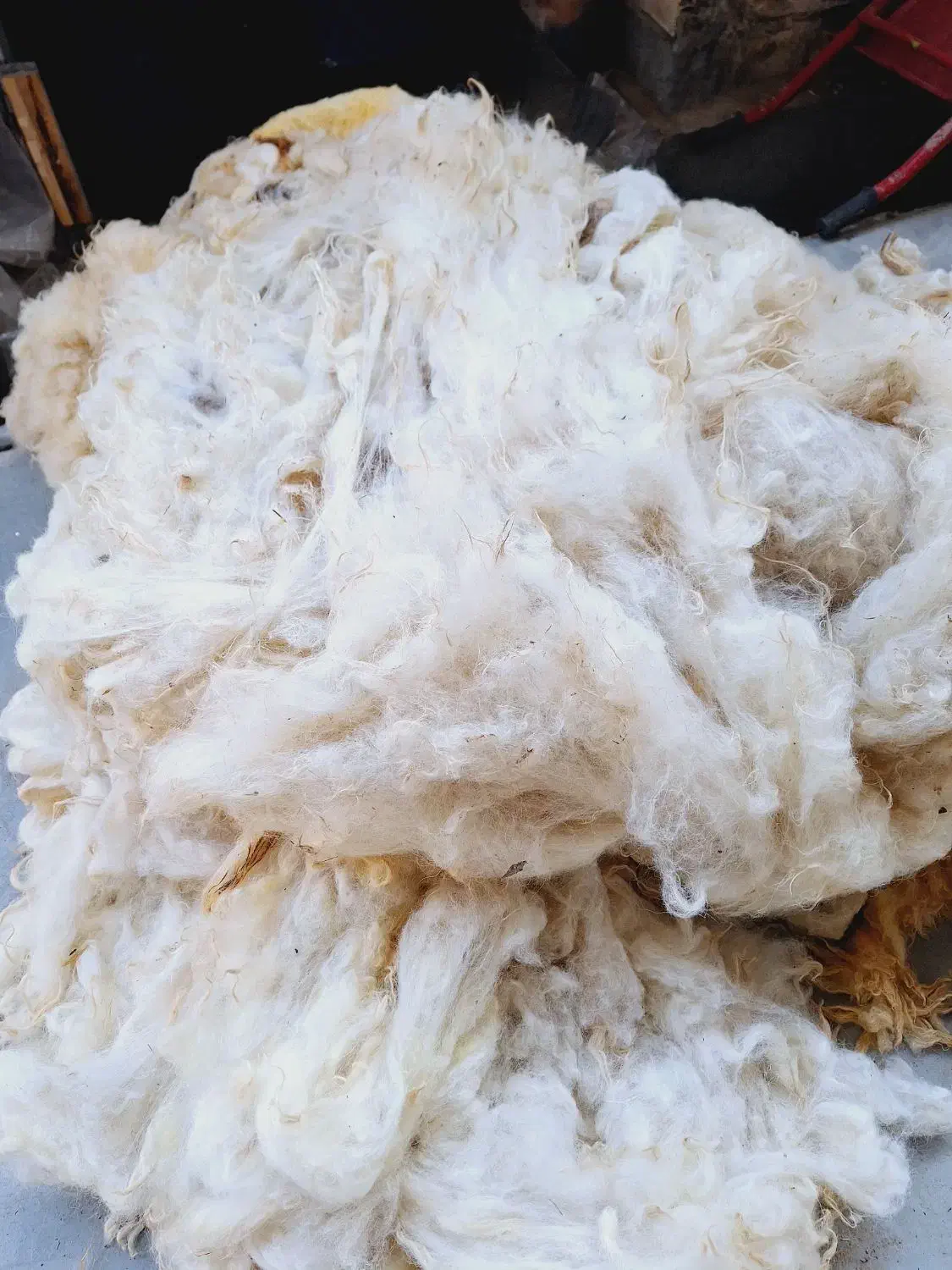 پشم فروشی|رختخواب، بالش، پتو|تبریز, |دیوار