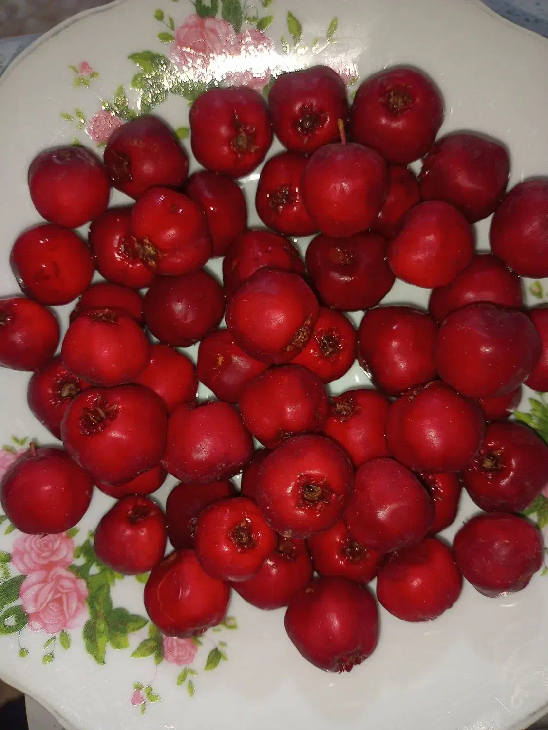 زالزالک یا گویژ بلچ قرمز|خوردنی و آشامیدنی|کلاترزان, |دیوار